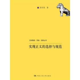 法学理念·实践·创新丛书：实现正义的选择与规范