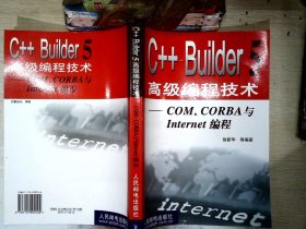 C++ Builder 5高级编程技术：COM、CORBA与Internet编程