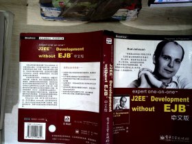 expert one-on-one J2EE Development without EJB 中文版