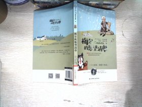 桂冠国际大奖儿童文学  梅尔的愿望清单
