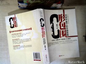 C形包围：内忧外患下的中国突围