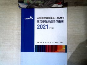 中国临床肿瘤学会（CSCO）常见恶性肿瘤诊疗指南2021（下册）