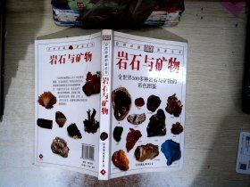 岩石与矿物：全世界500多种岩石与矿物的彩色图鉴