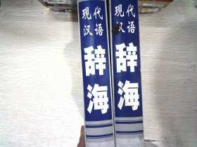 现代汉语辞海    上中 册