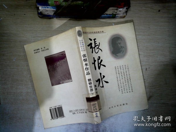 中国现代文学名家经典文库：张恨水