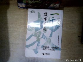 一千天，拔节生长——特级校长、特级教师流动工作亲历记