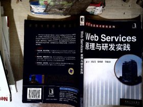 Web Services原理与研发实践