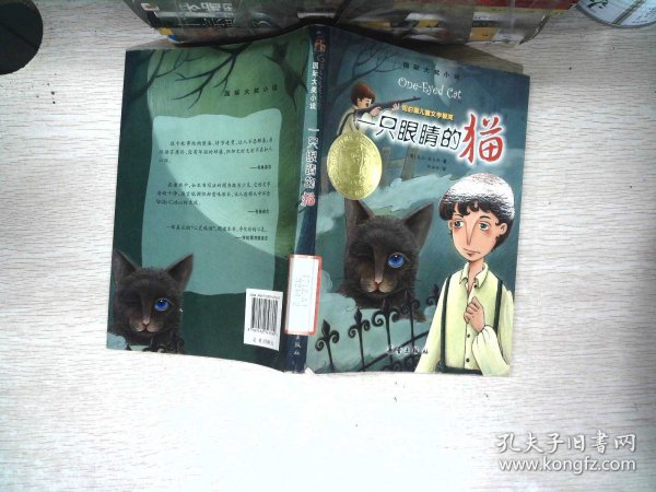 一只眼睛的猫：国际大奖小说