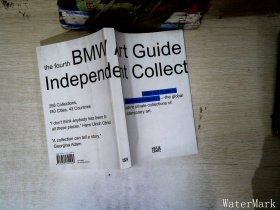 英文原版 ： The Fourth BMW Art Guide by Independent Collectors Paperback – 独立私人收藏家收藏的当代艺术品指南,