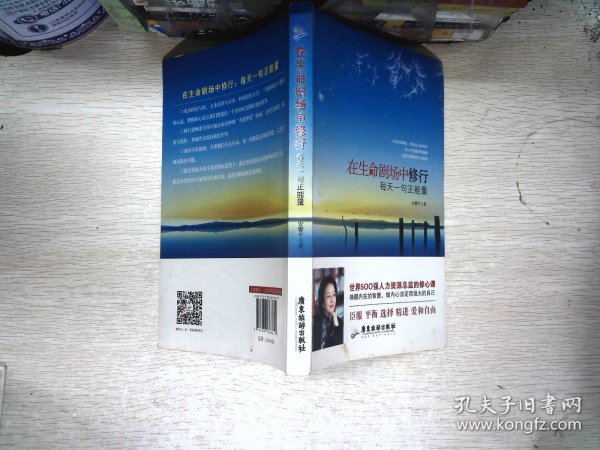 在生命剧场中修行：每天一句正能量(世界500强人力资源总监的修心课        唤醒内在的智慧，做内心淡定而强大的自己  臣服 平衡 选择 精进 爱和自由 )