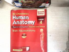 Human Anatomy4