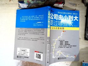 公司由小到大要过哪些坎：—解密创业企业成长经营3阶段、10基因；宋新宇推荐“能长大的企业是有规律的，中小企业的成长地图”； 7大本土全景案例.博瑞森