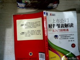 上市公司财务报表解读：从入门到精通（第2版）