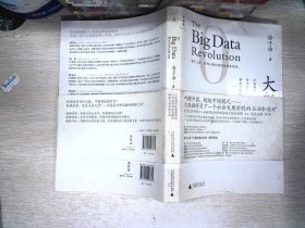 大数据：正在到来的数据革命，以及它如何改变政府、商业与我们的生活