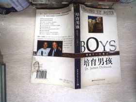 培育男孩：塑造下一代男人