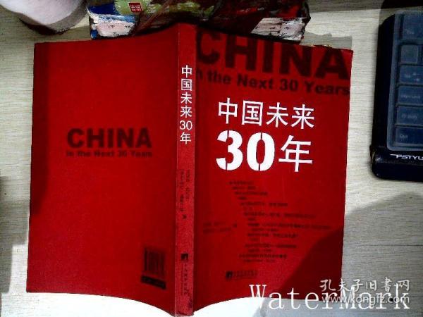 中国未来30年