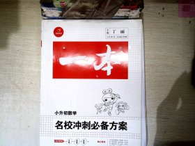 开心考试 2016年一本 名校冲刺必备方案：小升初数学（小学升初中小考总复习）