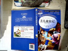 苦儿流浪记 美绘插图版 教育部“语文课程标准”推荐阅读 名词美句 名师点评 中小学生必读书系