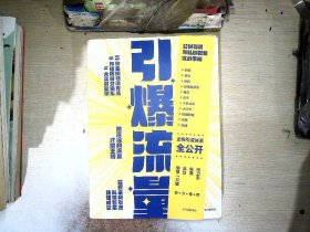 引爆流量：公域引流与私域裂变实战手册