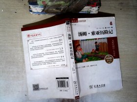 经典名著 大家名译：汤姆·索亚历险记（无障碍阅读 全译本 素质版）