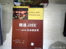 精通J2EE(Java企业级应用)