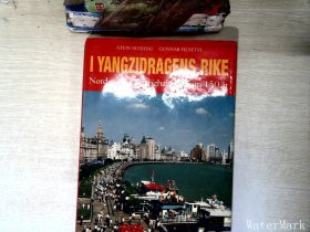 I YANGZIDRAGENS RIKE