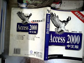 Access 2000中文版