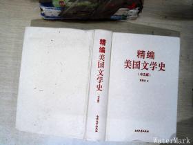 精编美国文学史（中文版）