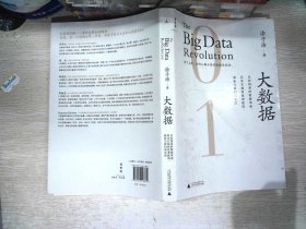 大数据：正在到来的数据革命，以及它如何改变政府、商业与我们的生活