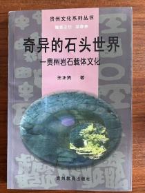 奇异的石：世界:贵州岩石载体文化