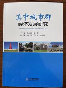 滇中城市群经济发展研究
