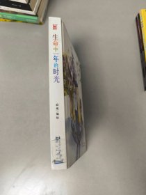 生命中一年的时光：瓷娃娃关怀一年涂（赠送十张复制原画）