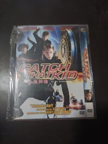 小鬼神偷DVD