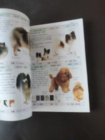 名犬：全世界300多种名犬的彩色图鉴