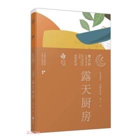 曹文轩儿童文学奖获奖作品：露天厨房