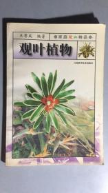 全彩《观叶植物》