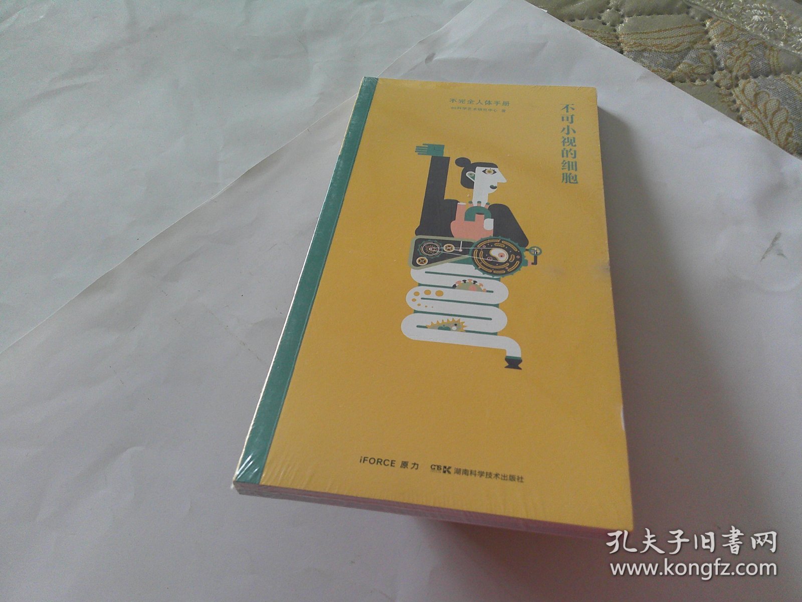 不可小视的细胞