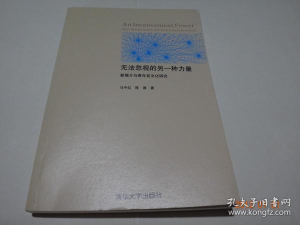 无法忽视的另一种力量：新媒介与青年亚文化研究