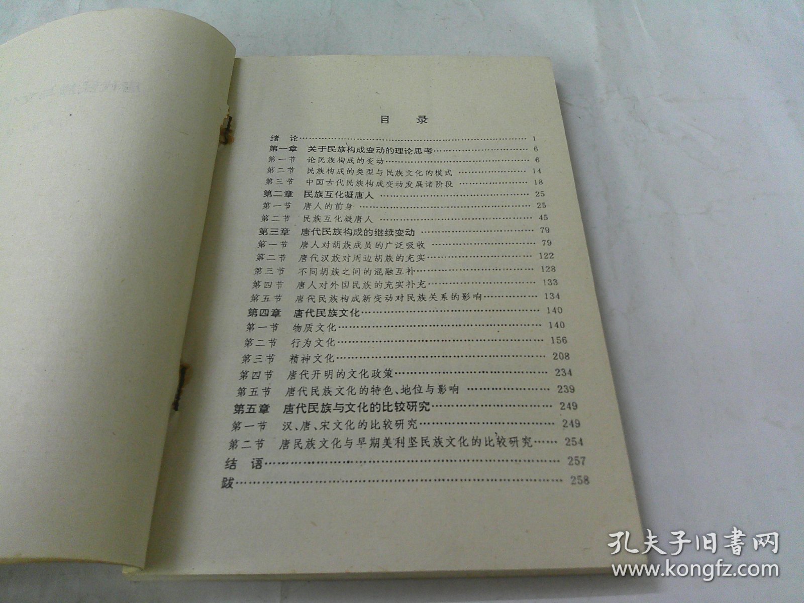 唐代民族与文化新论