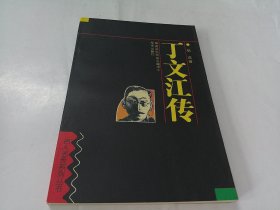 丁文江传