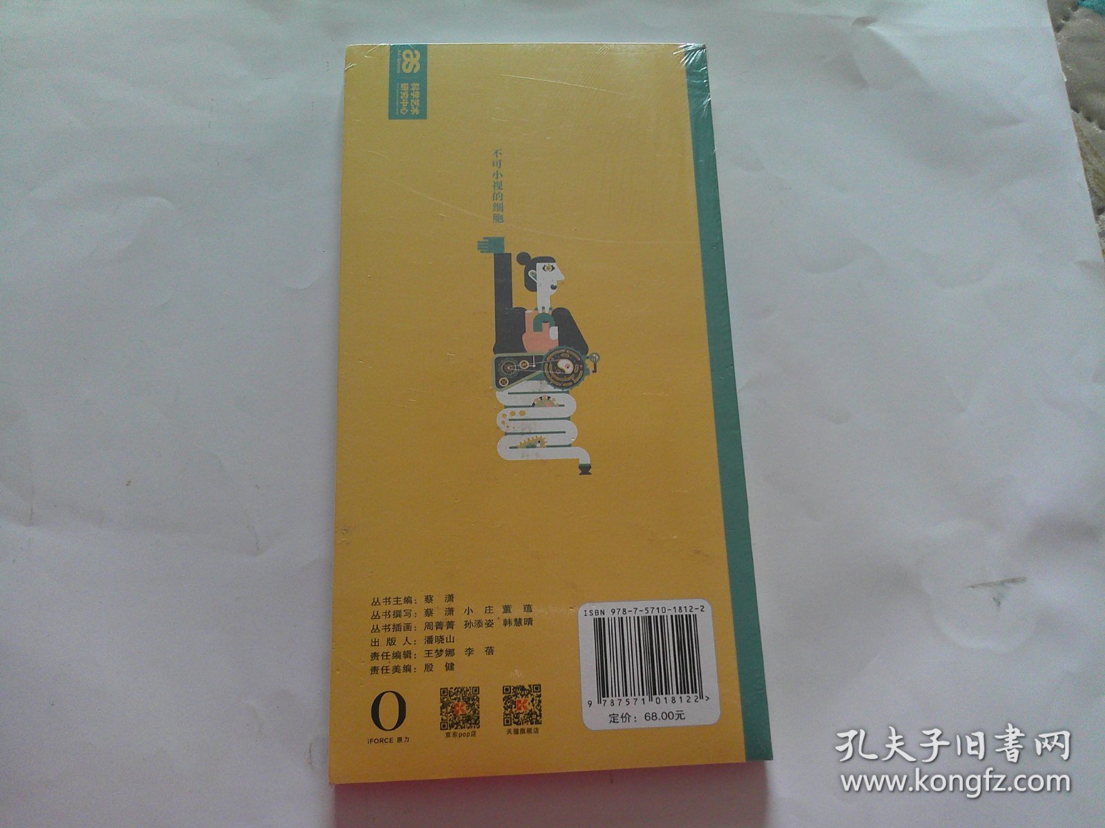 不可小视的细胞