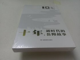 十年，新时代的岳阳故事