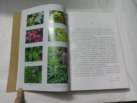 南岳植物检索表.