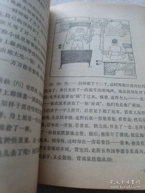 课外侦探组系列20 密林虎踪