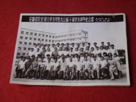 安徽省农业银行中专学校90届干部中专班毕业合影（90年6月23日.人民照相）