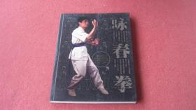 咏春拳（没有DVD）