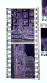 彩色照片底片：大型工艺品的底片 共7张合售 文件盒十五绿色