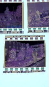 彩色照片底片：大型工艺品的底片 共7张合售 文件盒十五绿色