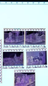 彩色照片底片：大型工艺品的底片 共7张合售 文件盒十五绿色