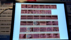 照片、底片：好友们一起游三峡景区等活动的底片 共35张合售 档案盒L 0037